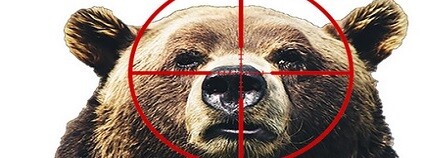 Foto: stopthegrizhunt.org