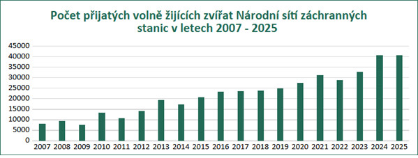 Počet přijatých volně žijících živočichů Národní sítí záchranných stanic v letech 2007-2025
