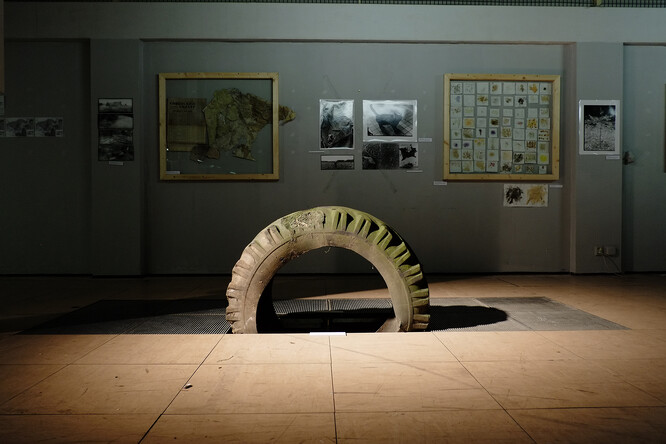 Pohled do výstavy Tajga Bezdězskaja