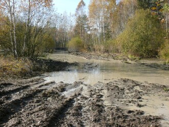 Pojezdy těžké techniky pomáhají udržovat cennou přírodu. Na ilustračním snímku bývalý vojenský prostor Na Plachtě.