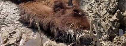 Foto: Pavel Prouza / Česká krajina