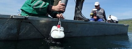 Umisťování telemetrických antén do jezera Foto: Biologické centrum AV ČR