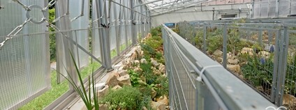 Nový skalničkový skleník v Botanické zahradě v Teplicích Foto: Botanická zahrada Teplice / Facebook