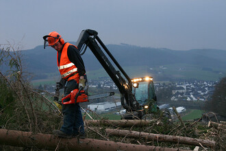 Deset procent těžby by zřejmě mělo připadnut měnším a malým firmám. „Deset procent území? To je prostě směšné, to je jen na zalepení pusy,“ komentuje Petr Šubrt ze Sdružení živnostníků v lesním hospodářství.