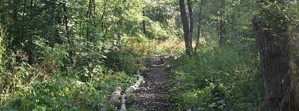 foto: valasskemezirici.cz