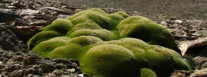 Foto: Jiří Doležal / News Scienist