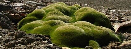 Foto: Jiří Doležal