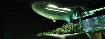 Tichá laboratoř pro Expo 2015 Foto. Full Capacity