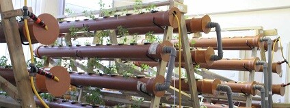 foto: The University of Sheffield