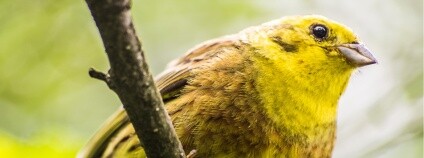 foto:  Petr Jan Juračka / Přírodovědecká fakulta UK (PřF UK)