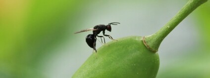 Foto: Michal Skalský / Najdi.je