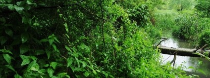 foto:  Topi Pigula / Wikimedia Commons