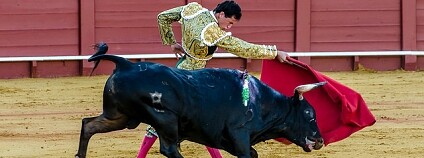 toreador býk Foto: Giulio Gigante Flickr