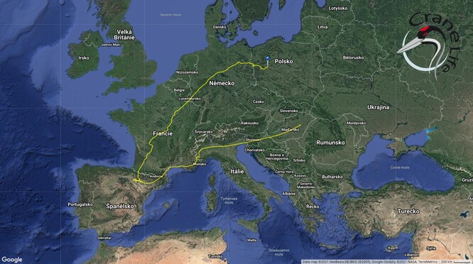 Migrační trasa jeřába z Osoblažska