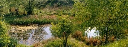 Foto: Zdeněk Prášil / Český svaz ochránců přírody