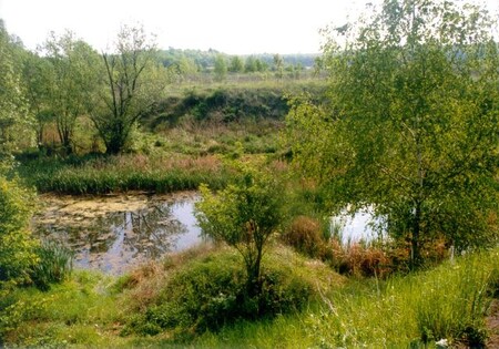 První vykoupenou lokalitou byl Triangl (na obrázku) - zajímavý mokřad s jezírkem přímo na území Prahy. Poté následovalo dalších 28, v nejrůznějších koutech České republiky. Stepi i mokřady, přírodě blízké lesy, rybníčky, rašeliniště…