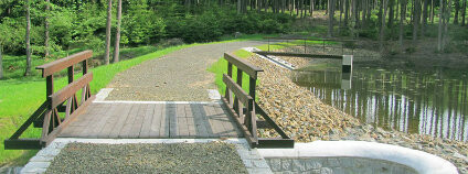 Obnovená nádrž Raška na Tachovsku Lesy ČR, s.p.