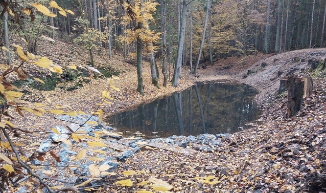 Tůň Šťáhlavický kozlík.