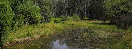 foto: ČSOP Jaro Jaroměř