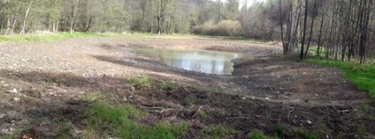 Nová tůň na Opavsku Foto: Lesy ČR