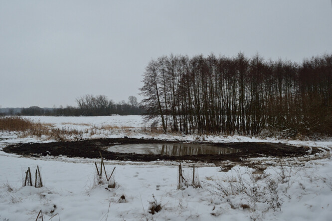 Současná podoba tůňky.
