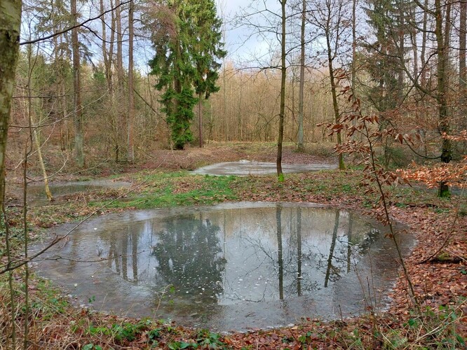 U obnovené nádrže na Chrudimsku přibylo i sedm tůní.