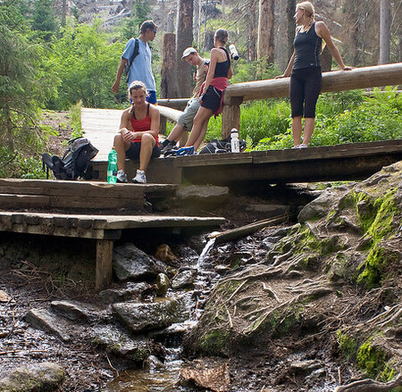 "Podle informací, které máme, turisté informační centra vyhledávají ze stále stejných důvodů. Ptají se na různé trasy, kupují mapy, nebo je zajímá i to, jaké bude počasí. Vzhledem k tomu, že ty důvody jsou shodné jako v minulosti, se dá usoudit, že se na Šumavě pohybuje větší počet lidí," řekl Dvořák