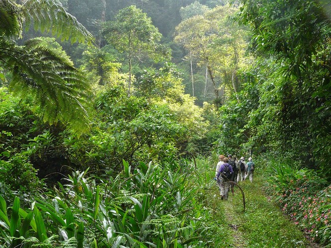 Brazílie loni přišla o 1,6 miliardy dolarů a pracovní místa v „přírodní turistice“ pro 55 000 lidí. Průvodců i strážců. Pětinu z celkového počtu.