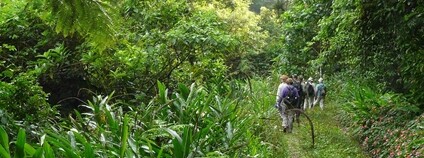Turisté v brazilském lese Foto: Blake Maybank Flickr
