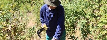 Týdny pro krajinu Foto: Stanislav Falář Hnutí DUHA