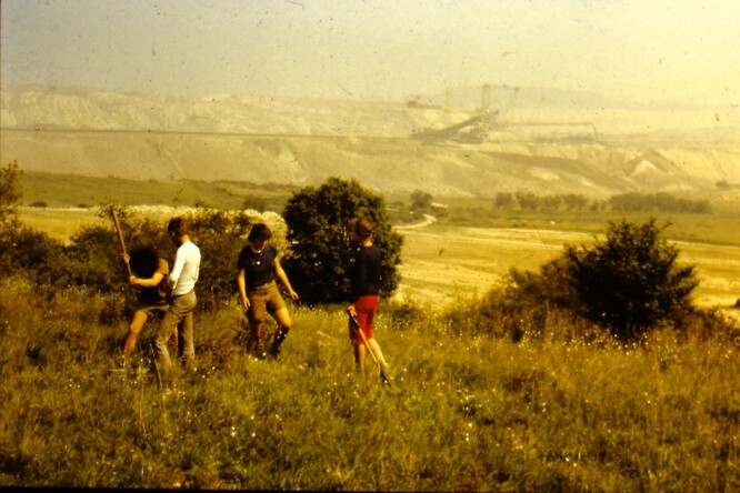 Stěhování rostlin z Běláku v roce 1986 – tábor Týmu Bořena.