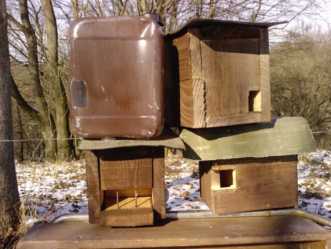 Testované typy budek určené pro druhy hnízdící v polodutinách.