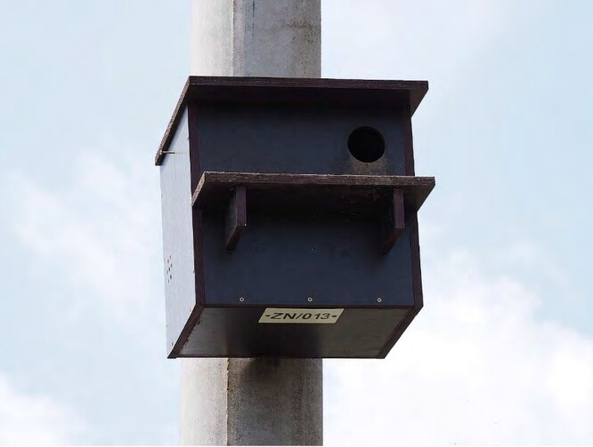 Hnízdní budka pro sýčka obecného, typ „angličanka“ s členitým interiérem.