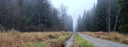 Oprava Schwarzenberského plavebního kanálu Foto: Lesy ČR