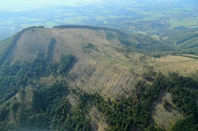 Rozsáhlé odlesnění hory Ondřejník po zpracování nahodilých kůrovcových těžeb (Frýdeckomístecko, září 2024).