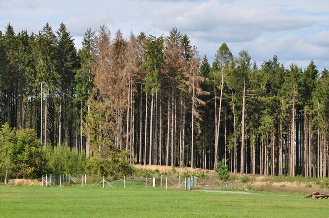 Ohrožený vrt pitné vody.