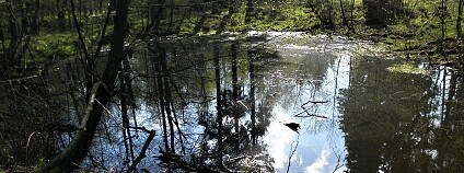 Foto: Jan Moravec ČSOP