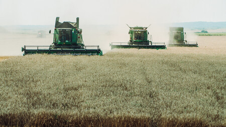 Záborům půdy se v letošním ročníku věnují hned čtyři filmy