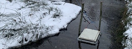 Umístění boxu v Ludvíkovském potoce. Foto: Lesy ČR