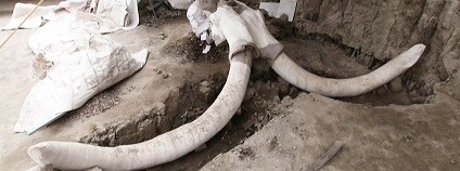 foto:  VOA News / youtube.com