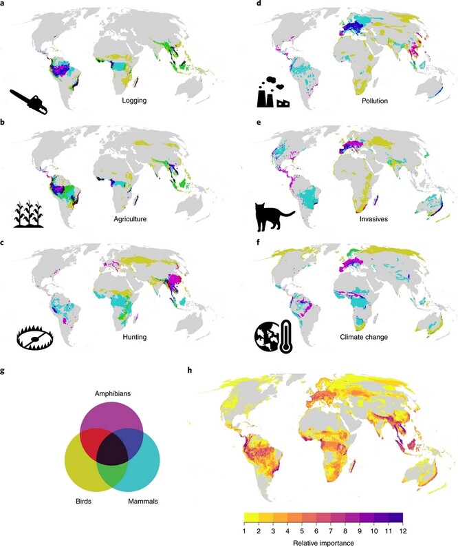 a-f, Globální ohniska ohrožení pro obojživelníky, ptáky a savce pro šest hlavních ohrožení: těžba dřeva (a), zemědělství (b), lov a odchyt (c), znečištění (d), invazní druhy a choroby (e) a změna klimatu (f). Barvy označují, zda oblast spadá do ohniska ohrožení pro jednu nebo více skupin taxonů.