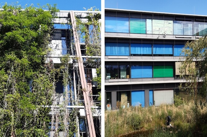 Obr. 18. Záření procházející zelenými fasádami i fasádami s roletami se monitoruje.