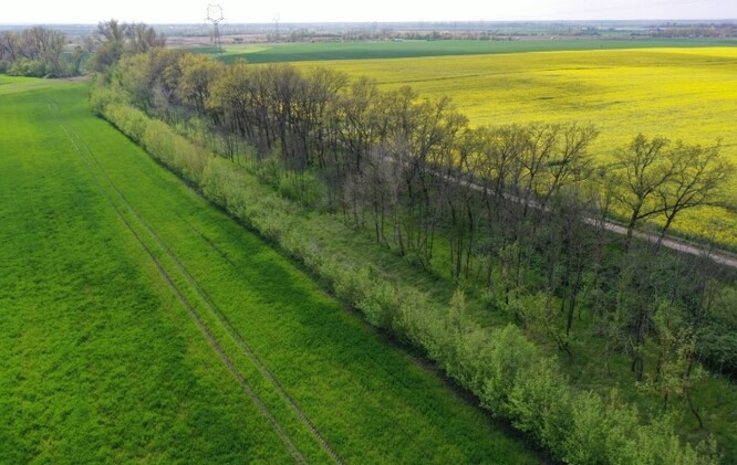 Příklad funkčního větrolamu.