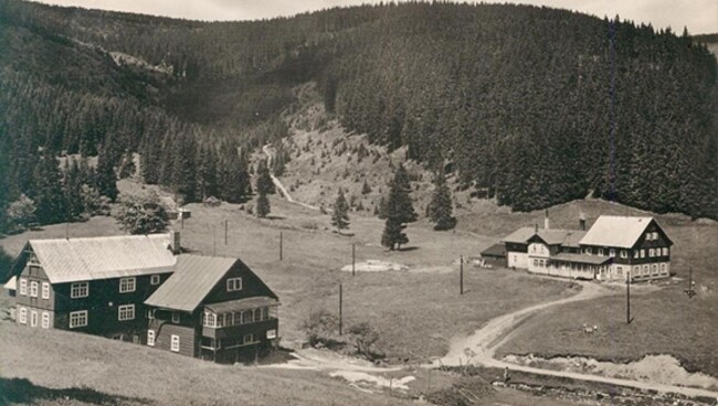 Obr. 2: Části luk v lokalitě Zhůří, vpravo pozůstatky starého osídlení.