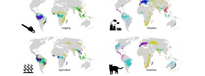 Foto: Nature Ecology and Evolution