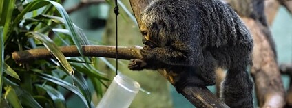 Foto: Aalto University