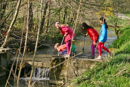 Úklid je možné spojit i s výpravou do přírody.