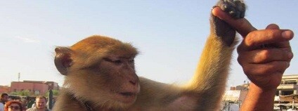 Foto: Kristina Stazaker / phys.org