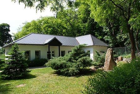 Rada města Ústí nad Labem vyhlásila novou veřejnou zakázku na veterinární péči pro místní zoo a Centrum pro zvířata v nouzi, které patří pod zoo. Do předešlých dvou kol se nikdo nepřihlásil. / Ilustrační foto