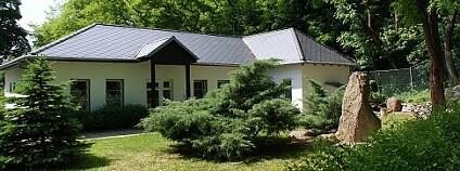 foto: Centrum pro zvířata v nouzi při ZOO Ústí nad Labem / facebook.com